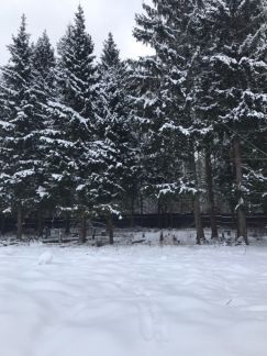 ������ ��������� ������� 5 ����� ����������� ����� (���� �2)