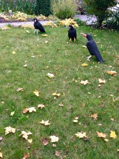 ����� ��������� ������� ��������� ������������� ������� �������� 106 (���� �20)