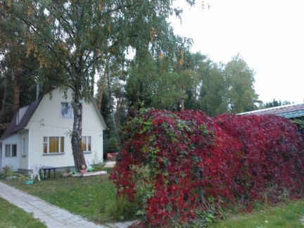 ������ ��������� ������� ��� ������ (���� �2)