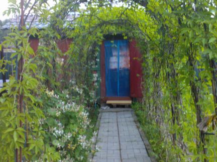 ������ ��������� ������� ��� ������ (���� �11)