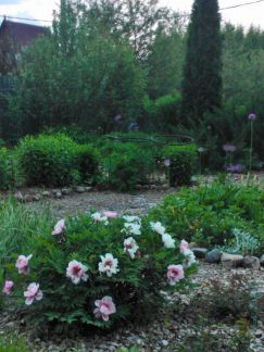 ������ ��������� ������� ��� ������ (���� �12)