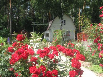 ������ ��������� ������� ��� ������ (���� �14)