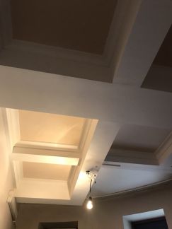       55 ( 7)