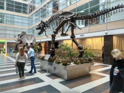 ������ ���� � �� �����-������ ����� (���� �9)