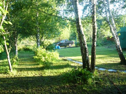 ������ ��������� ������� �� 50 �� �� ���� � ������ (���� �12)