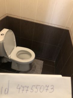        ( 11)