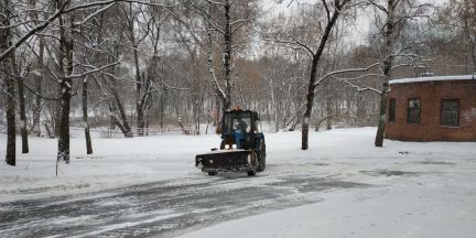 ����� ���� ������������ ����� 14�18 (���� �11)