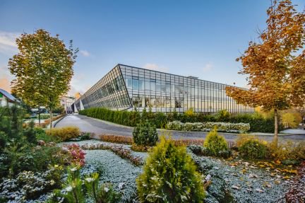 ����� ���� ����� ��������� ������� 26 (���� �2)