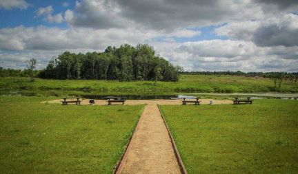 ������ ��������� ������� ��������� ������� ������ (���� �2)