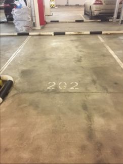      26 ( 5)