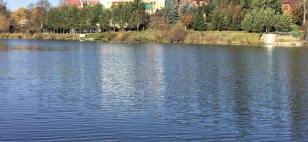 ������ ��������� ������� �� 25 �� �� ���� ��������� ����� � ��������������� ��������� (���� �7)