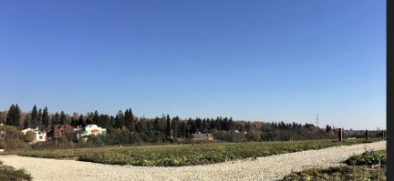 ������ ��������� ������� �� 25 �� �� ���� ��������� ����� � ��������������� ��������� (���� �3)