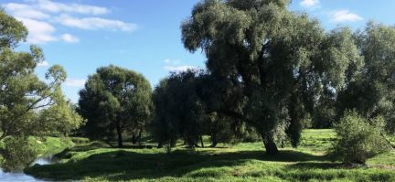 ������ ��������� ������� �� 25 �� �� ���� ��������� ����� � ��������������� ��������� (���� �5)