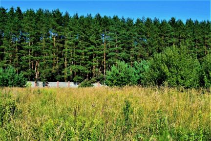 ������ ��������� ������� �� 15 �� �� ���� �������� ����� (���� �4)