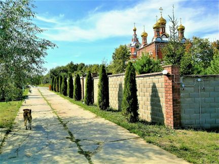 ������ ��������� ������� �� 15 �� �� ���� �������� ����� (���� �6)