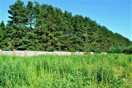 ������ ��������� ������� �� 15 �� �� ���� �������� ����� (���� �5)