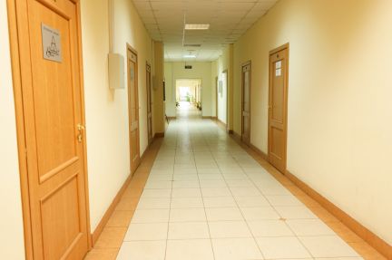 ����� ���� ����� ����� 31�1 (���� �6)