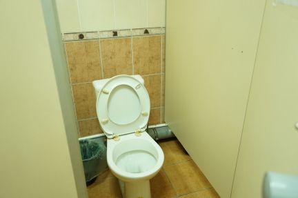 ����� ���� ����� ����� 31�1 (���� �8)