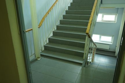 ����� ���� ����� ����� 31�1 (���� �10)