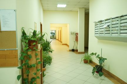 ����� ���� ����� ����� 31�1 (���� �11)