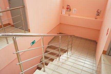 ����� ���� ����� ����� 31�1 (���� �14)