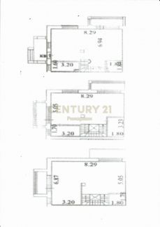 ������ ��� �� 25 �� �� ���� ������� ������� ������ ����� 61�1 (���� �12)