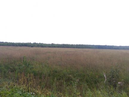 ������ ��������� ������� �� 145 �� �� ���� �.�. �������������� ������� �������� (���� �3)