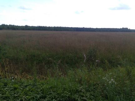 ������ ��������� ������� �� 145 �� �� ���� �.�. �������������� ������� �������� (���� �4)