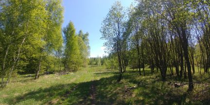 ������ ��������� ������� ����������� ����� (���� �4)