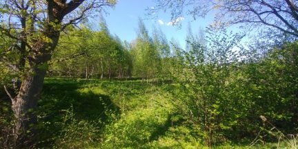 ������ ��������� ������� ����������� ����� (���� �5)