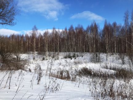 ������ ��������� ������� ����������� ����� (���� �7)