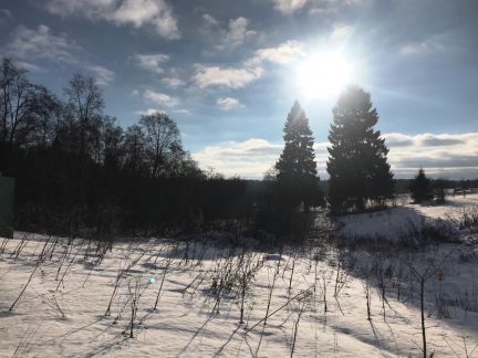 ������ ��������� ������� ����������� ����� (���� �9)