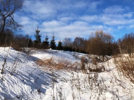 ������ ��������� ������� ����������� ����� (���� �10)