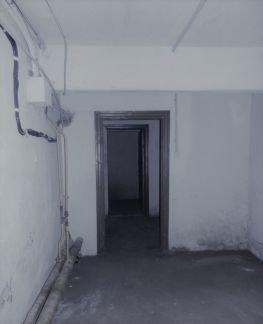      12 ( 2)