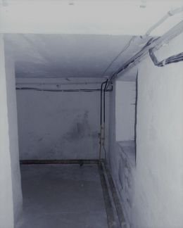       12 ( 3)