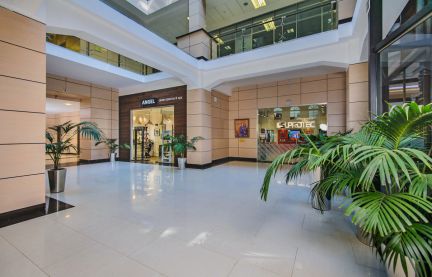 ����� ���� ������������ ����� 16�1 (���� �8)