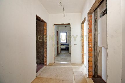 ������ ��� �� 50 �� �� ���� ������� ������ 81 (���� �11)