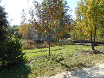 ������ ��������� ������� �� 50 �� �� ���� � ������ (���� �16)