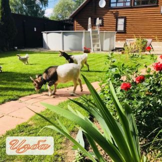 ����� ��� ��������� �� 35 �� �� ���� ������������� ����� (���� �11)