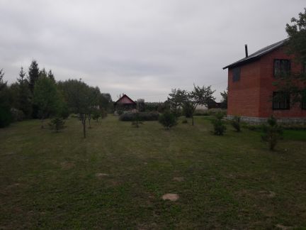   2-   53 ( 4)