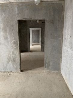      12 ( 6)