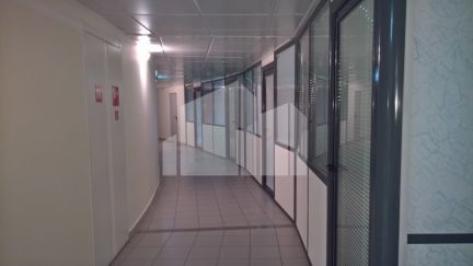    -2000 ( 5)