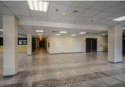 ����� ���� ���������� ��� 15 (���� �7)