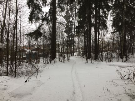 ������ ��������� ������� ���������� ������� ��������� ����� ������������� ������� ��������� �������� (���� �5)