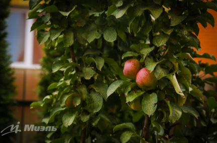 ��������� � �� �������� (���� �4)