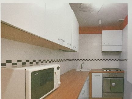       29  4 ( 4)