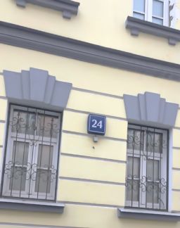       24 ( 3)