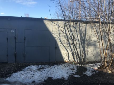 ������ ����� � ��� ������� ��� (���� �5)