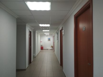 ������ ���� ����� ���������� (���� �6)