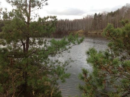 ������ ��������� ������� � ��� ������� (���� �3)